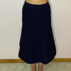 Ann Taylor skirt